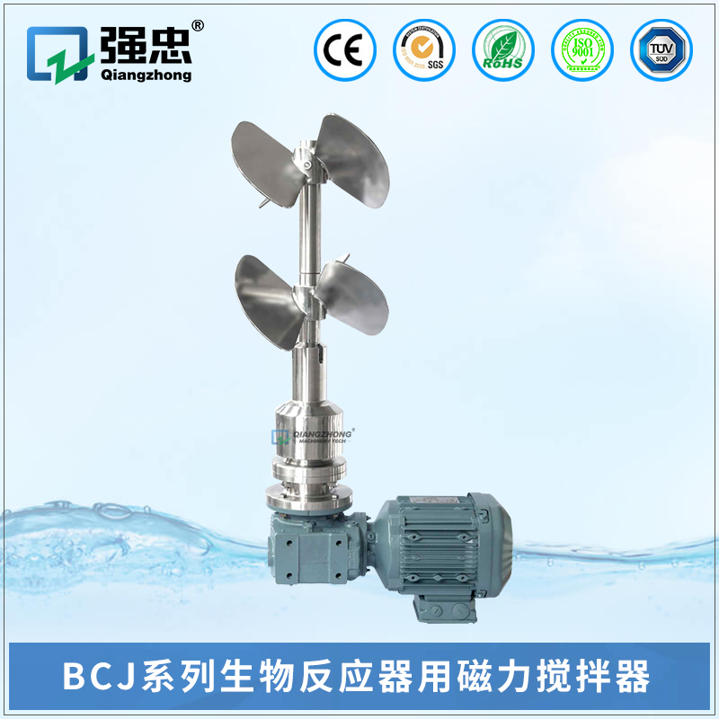 BCJ乐投（中国）生物反应器用磁力搅拌器