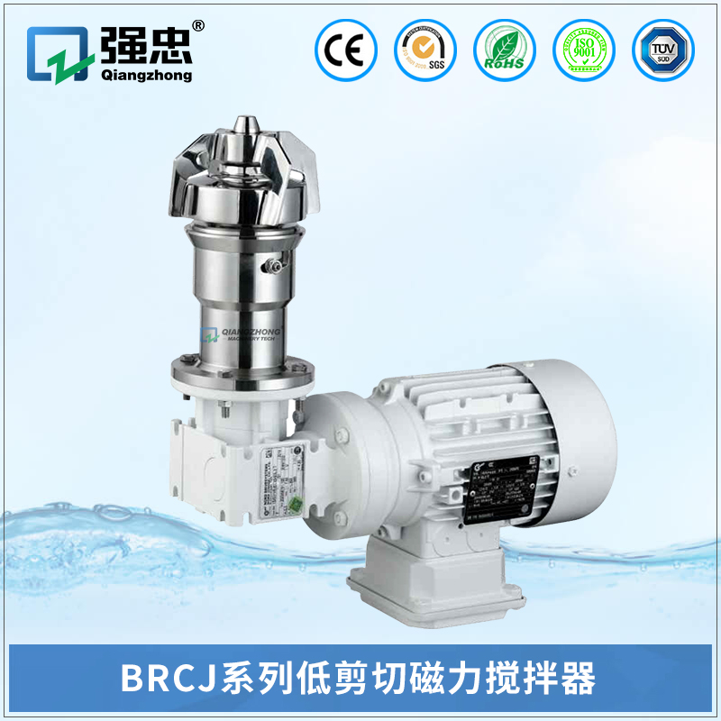 BRCJ乐投（中国）低剪切磁力搅拌器