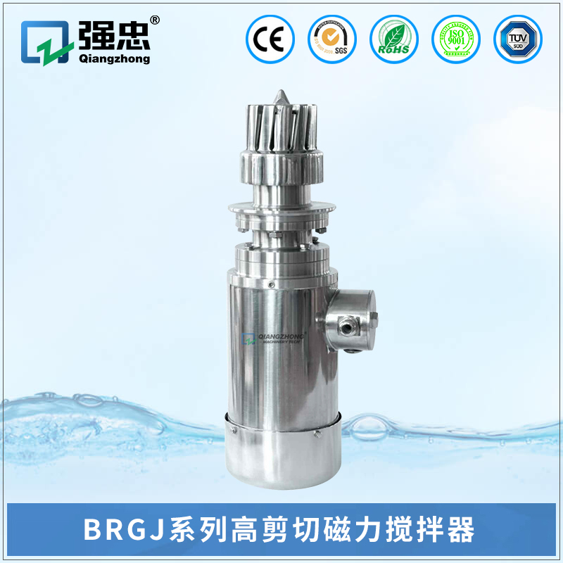 BRGJ乐投（中国）高剪切磁力搅拌器