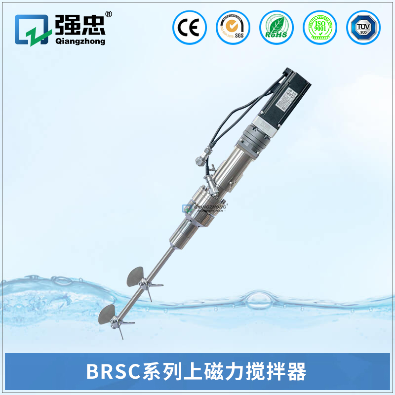 BRSC乐投（中国）上磁力搅拌器